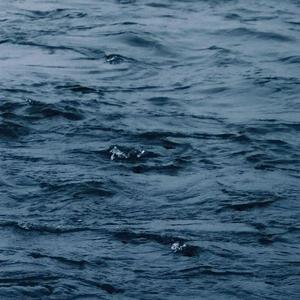 小男孩和妈妈操逼
