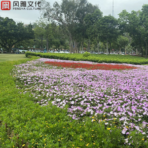 小男孩和妈妈操逼
